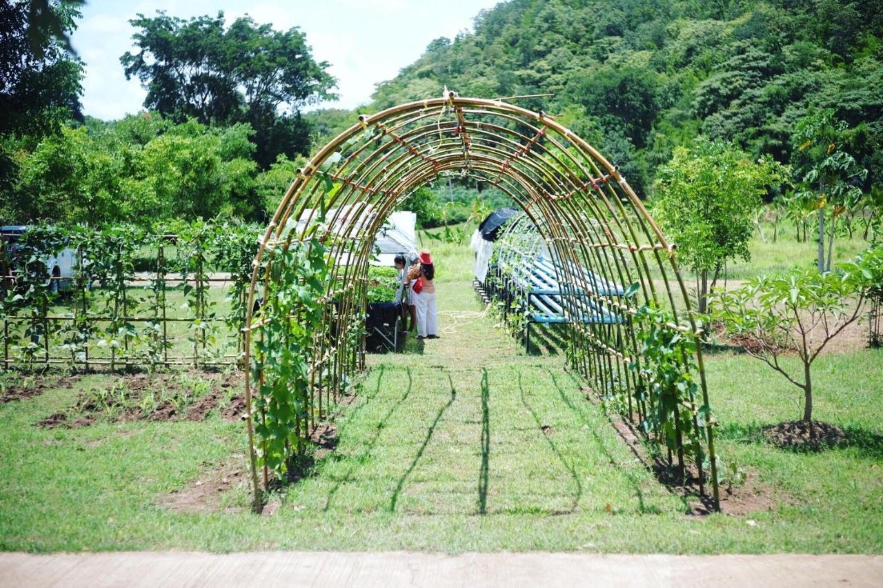 Taakradan Valley ท่ากระดานวัลเล่ย์ Maison d'hôtes Si Sawat